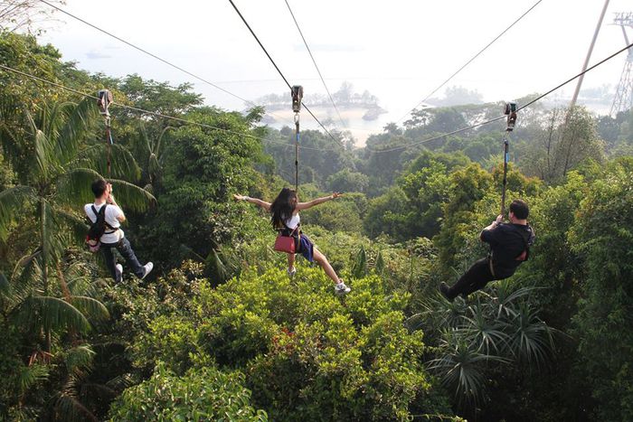 MegaZip and MegaJump in Mega Adventure Park E-voucher